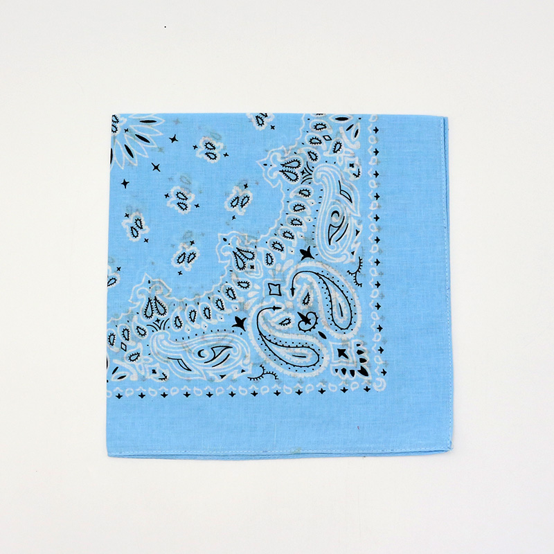 55CM Square Scarf  Women Sprin - Bandana Blank White avis et prix